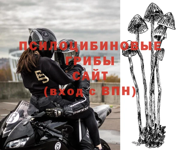 стаф Абаза
