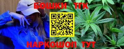 тгк Гай