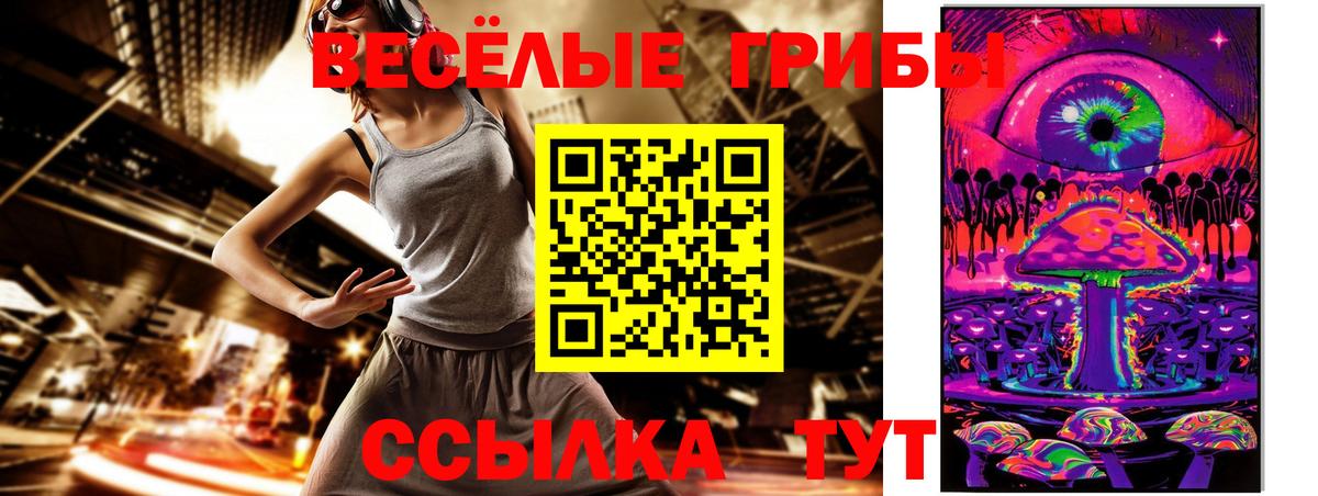 Галлюциногенные грибы Psilocybe  Вход с VPN  Усть-Илимск 